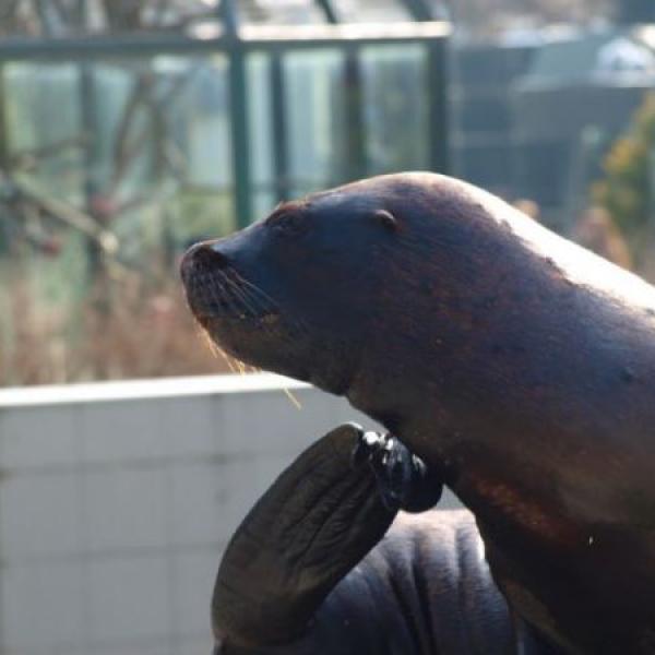 včerejší návštěva ZOO