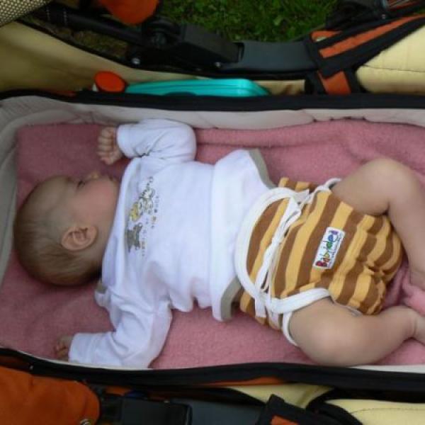 Včelátko Eda na Moje těhotenství.cz Včelátko Eda