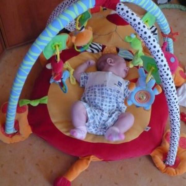 Zítra budeme mít 10 týdnů