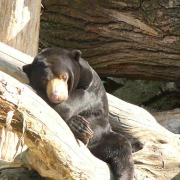 Včerejší navšteva zoo