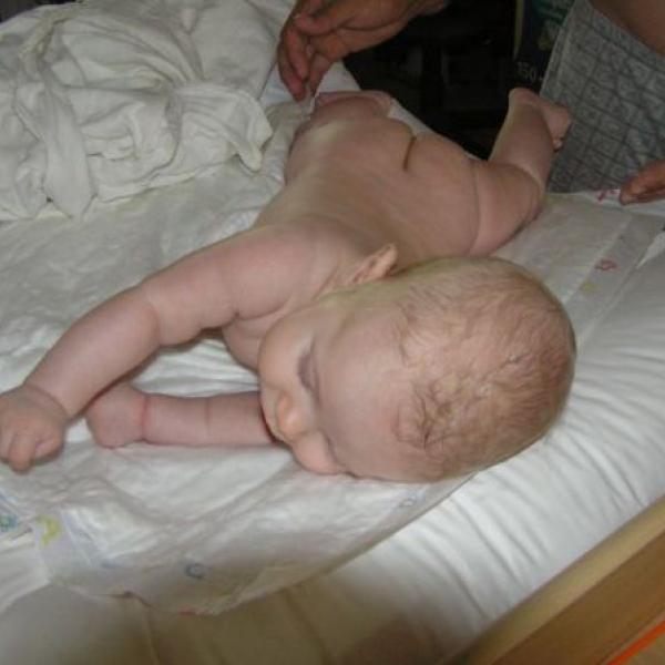 Květinky jak rostete?