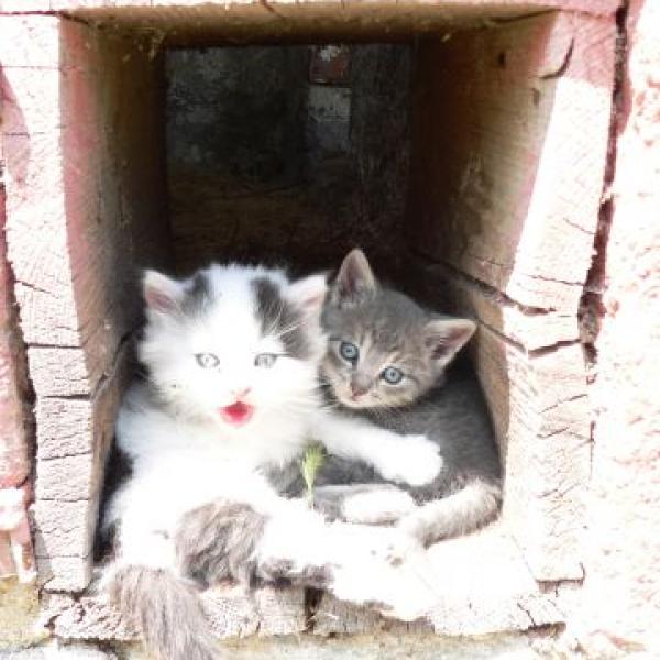 Stěhování s miminem a půl roku Alfréda