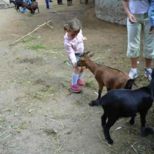 ZOO Jihlava a návštěva u prarodičů v Brně