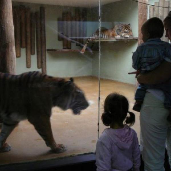 ZOO Jihlava a návštěva u prarodičů v Brně