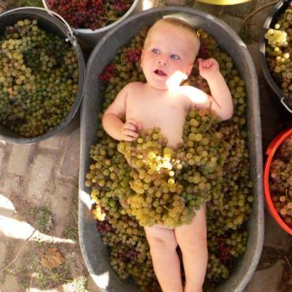 V roce neumí pít z flašky,má jen prso,achjoooo.