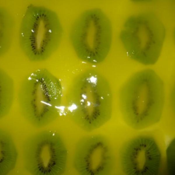 Musím se pochlubit :-)