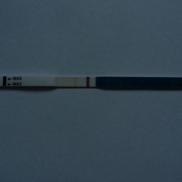 porad jen slabej dusik! :-(