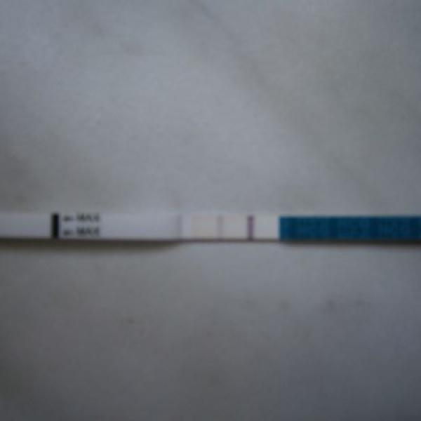 Mám mít obavy?+foto