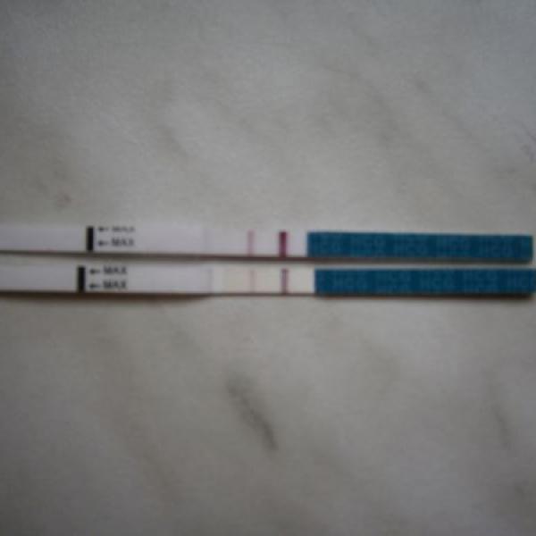 Myslíte,že už nedorazí?-foto a sílí nebo ne?