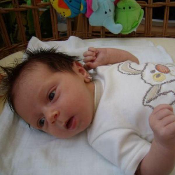 6titýdenní prohlídka....