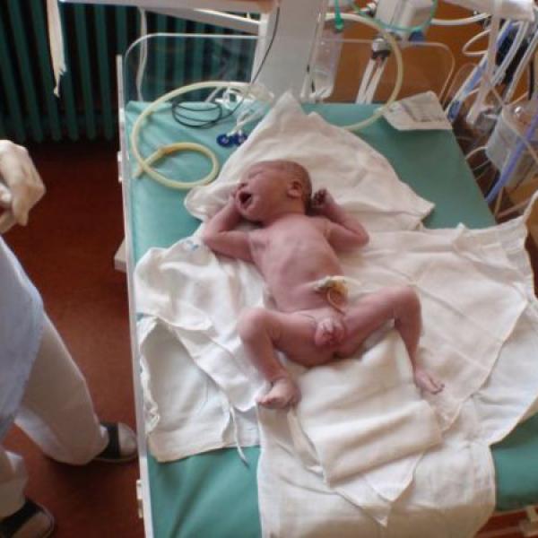 Máme miláčka doma:-)