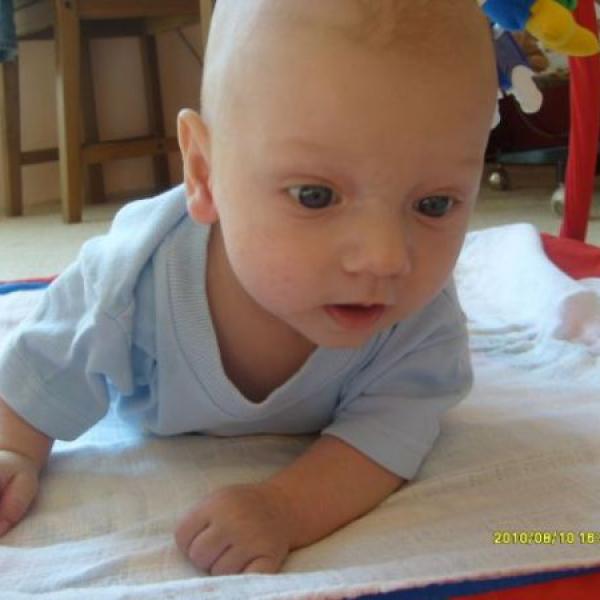 Co už umí květinky ? 