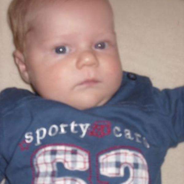 Jak rostou letňátka