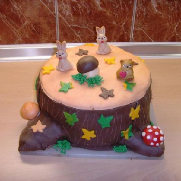 můj první dort :-)