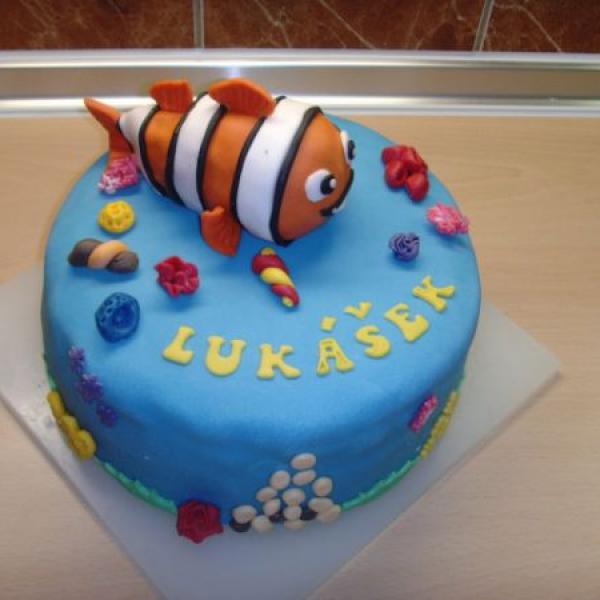 můj druhý dort :-)