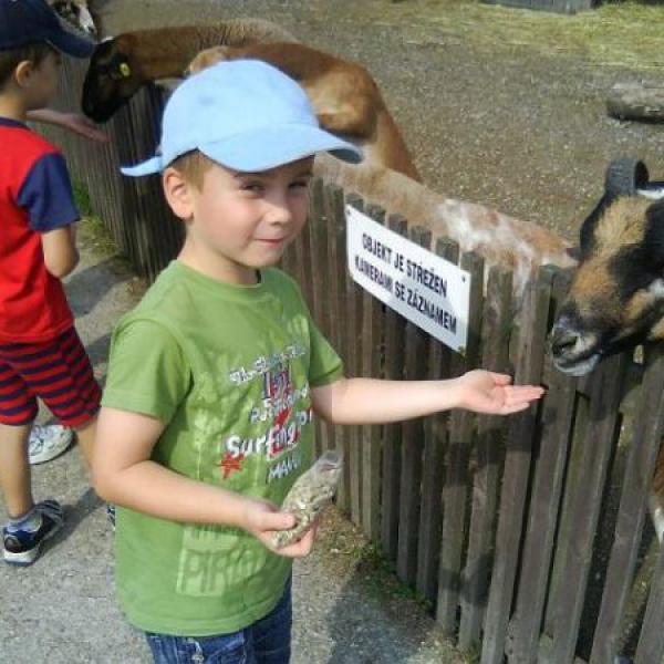 Fotečky mí miláčkové