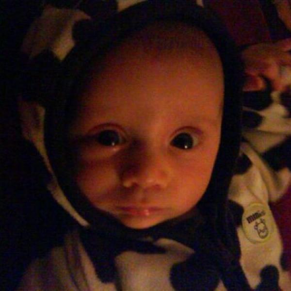 Fotečky mí miláčkové