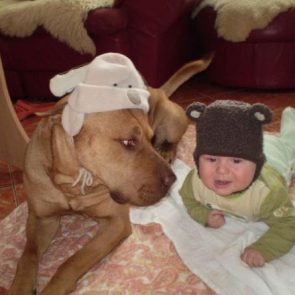 Jak rosteme na Moje těhotenství.cz Jak rosteme