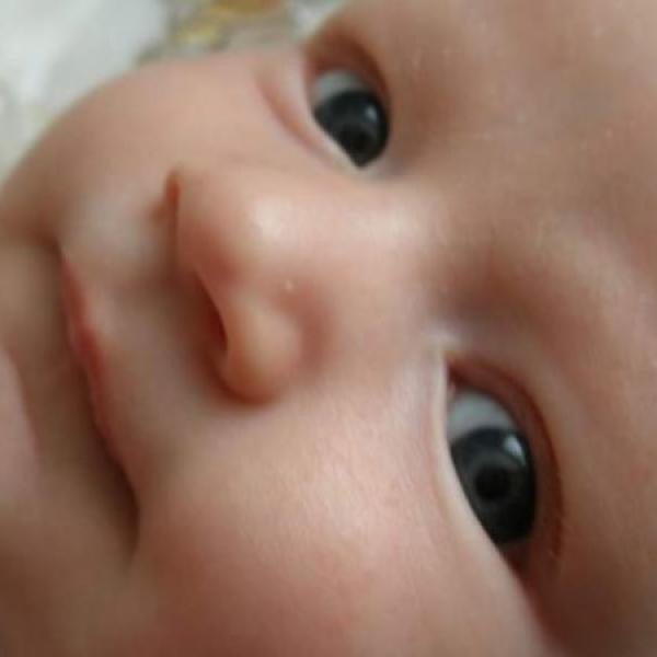 Dnes nám jsou dva měsíce