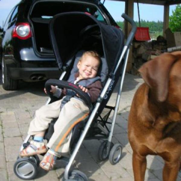 GOLFKY - velké dilema vyřešeno!