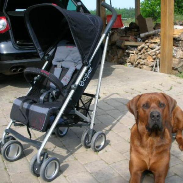 GOLFKY - velké dilema vyřešeno!