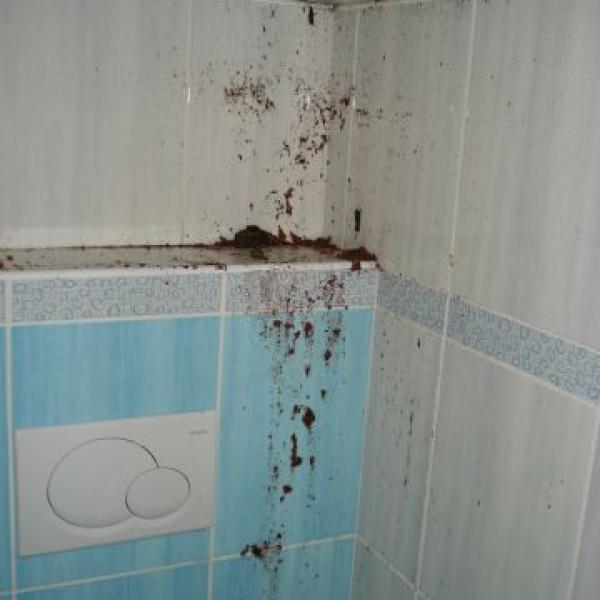 Bouřka 2.8. u nás v Mor. Krumlově