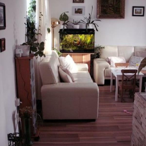 Anička - už brzy dvou roční