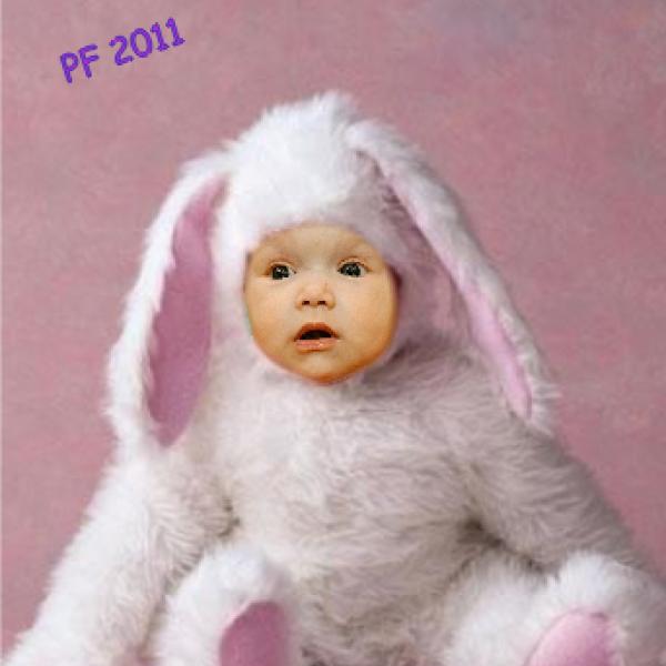 Přejem Všem hezký Silvestr! na Moje těhotenství.cz Přejem Všem hezký Silvestr!