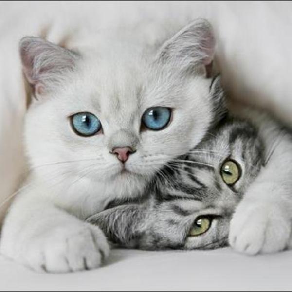 Zoufalá osamělá maminka