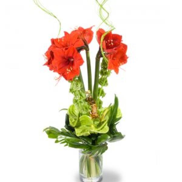 Vše nej EVELIN na Moje těhotenství.cz Vše nej EVELIN