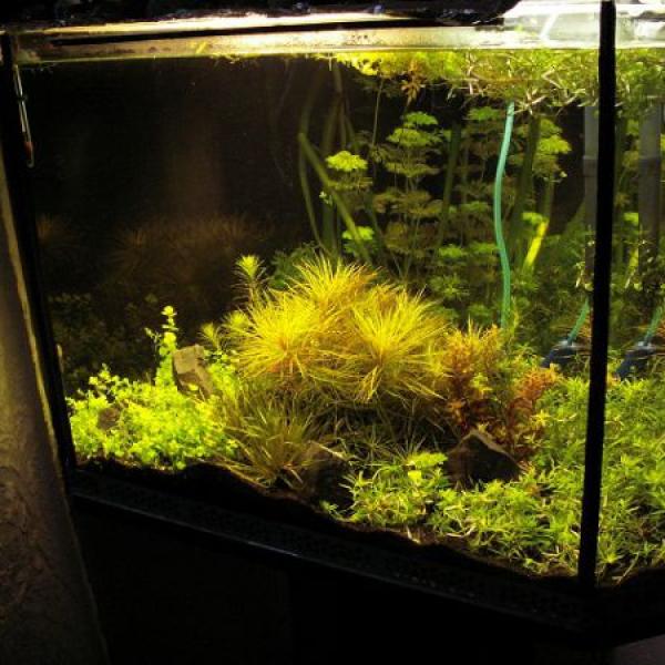 Anička - už brzy dvou roční