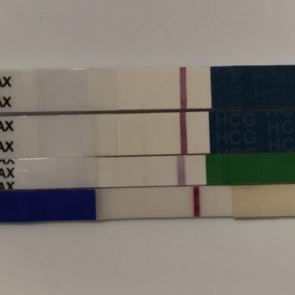 Tehotensky test wondfo