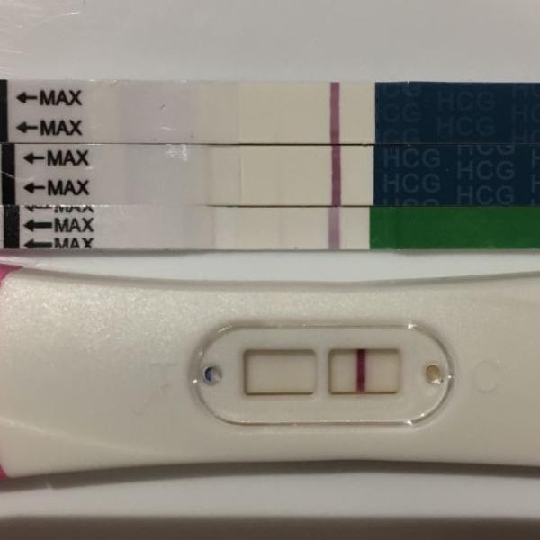 Tehotensky test wondfo