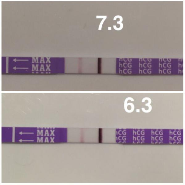 Tehotensky test wondfo