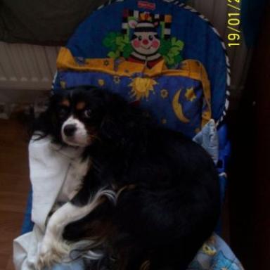 Honzík posledních dní