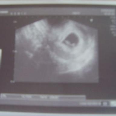 Fotky "puntika" a jeho "domecku"=o)