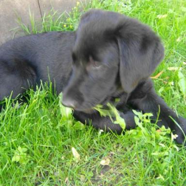 Tak já teda taky...