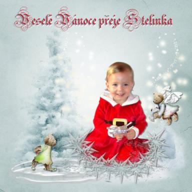 Krasne vanoce vam preje nejen Stelinka,ale i Renata,Libor a Denicek.