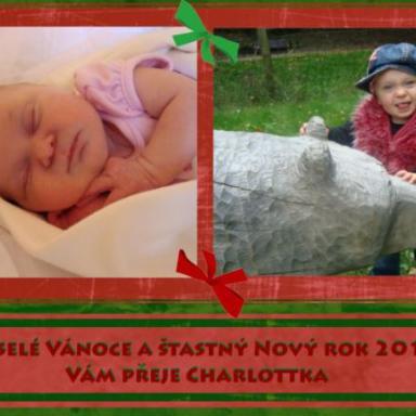 Krásné Vánoce a pohodový Nový rok 2010