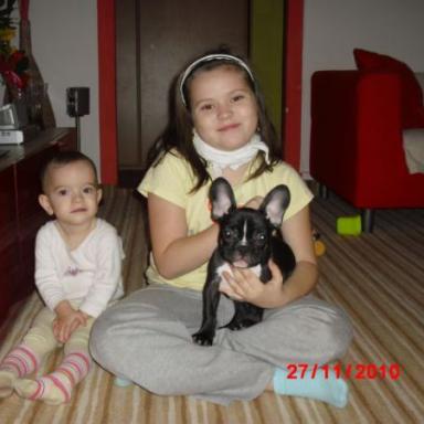 NOVE FOTECKY