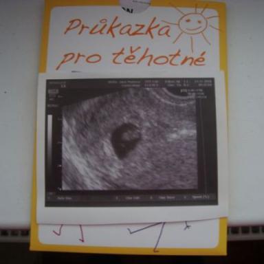 Potvrzení těhu 7+0 :-)