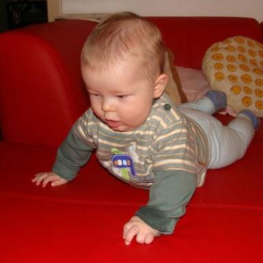 Co je nového? - červíci 2009