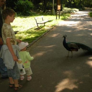Dnešní výlet - Zoopark Chomutov