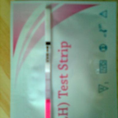 Včerejší debata ovu testy &amp; těhotenství