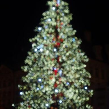 Krásnej Vánoční strom na Staroměstském náměstí :-)