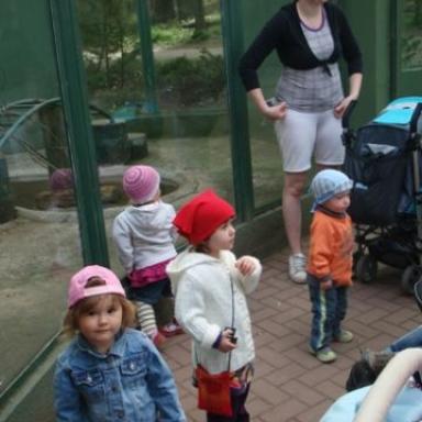Výlet do Zoo Olomouc!!!