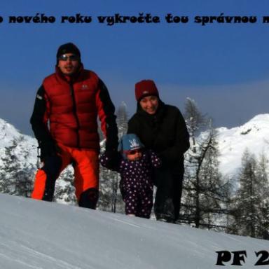 PF 2010
