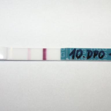 Výsledek našeho nesnažení :-)