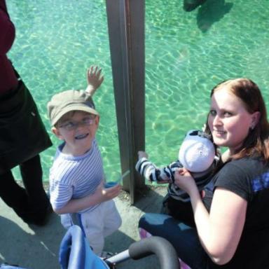 výlet do zoo 