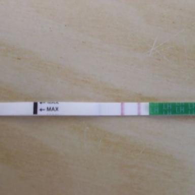Ovu test